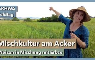 Mischkultur am Acker – Weizenanbau in Mischung mit Erbse | Odette Weedon | AKWAH Feldtag | 2023