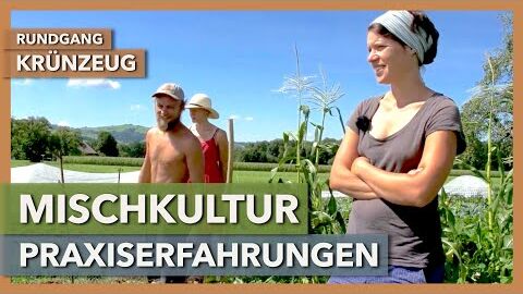 Mischkultur in Anbau und Vermarktung – Erfahrungen & Herausforderungen | Krünzeug | Rundgang 3