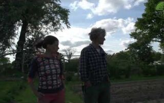 Mischkultur und Mulch | Sähmaschinen | Zwischenfrüchte | Mulch und Kohl | Market Garden Lehmgrabe