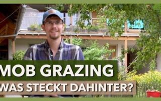 Mob Grazing – Grundprinzipien, Besonderheiten, Erfolgsfaktoren | Manuel Winter | Interview