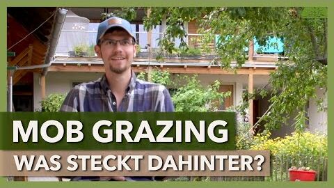 Mob Grazing – Grundprinzipien, Besonderheiten, Erfolgsfaktoren | Manuel Winter | Interview