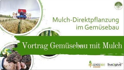 Mulch Gemüsebau | Vortrag | Johannes Storch vom Bio Gemüsehof Dickendorf (2020)