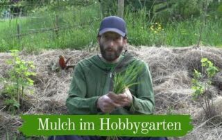 Mulch im Hobbygarten | Einsatz und Mulcharten | Kurze Wege für den Klimaschutz | Weltgarten Tunsel