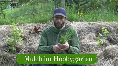 Mulch im Hobbygarten | Einsatz und Mulcharten | Kurze Wege für den Klimaschutz | Weltgarten Tunsel