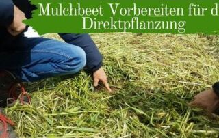 Mulchbeet Vorbereiten für die Direktpflanzung | Mulchgemüsebau | Biogemüsehof Dickendorf (2019)