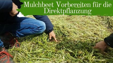 Mulchbeet Vorbereiten für die Direktpflanzung | Mulchgemüsebau | Biogemüsehof Dickendorf (2019)