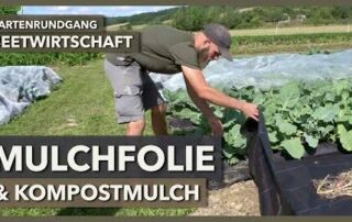 Mulchfolien, Kompostmulch & Beetvorbereitung im Market Garden | Beetwirtschaft | Gartenrundgang 3