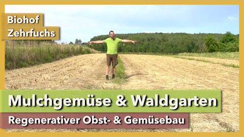 Mulchgemüsebau & regenerativer Obstbau im Waldgarten | Biohof Zehrfuchs | Rundgang 11 | 2021