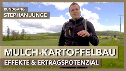 Mulchkartoffelbau – Ertragspotenzial und Langzeiteffekte | Stephan Junge | Rundgang 5