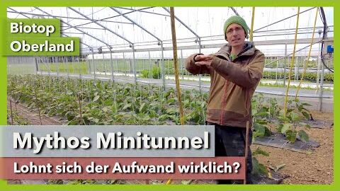 Mythos Minitunnel – Lohnt sich der Aufwand? | Biotop Oberland | Rundgang 1 | 2021