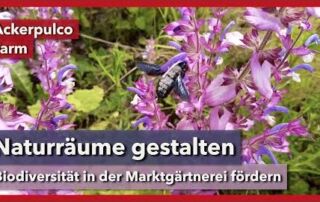 Naturräume in der Marktgärtnerei gestalten und pflegen | Ackerpulco Farm | Rundgang 6 | 2023
