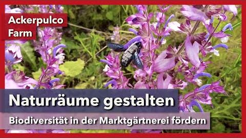 Naturräume in der Marktgärtnerei gestalten und pflegen | Ackerpulco Farm | Rundgang 6 | 2023