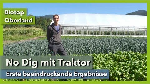 No Dig Market Garden mit Traktor – Erste Ergebnisse | Biotop Oberland | Rundgang 7 | 2021