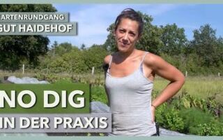 No Dig Marktgärtnerei – Aufbau, Werkzeuge, Kulturführung | Gut Haidehof | Gartenrundgang 1