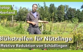 Nützlingsförderung mit Blühstreifen – keine Schädlinge mehr | Biotop Oberland | Rundgang 8 | 2021-22