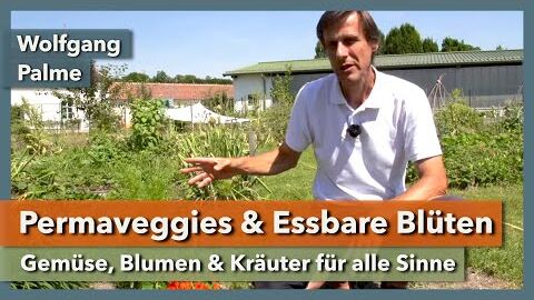 Permaveggies & Essbare Blüten | Wolfgang Palme & City Farm | Rundgang 2 | 2021