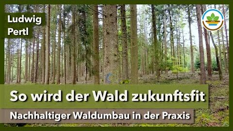 Praxisanleitung zum nachhaltigen Waldumbau – Die Grundlagen | IG Gesunder Boden | Waldtag 2024