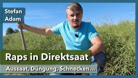 Raps in Direktsaat – Aussaat, Düngung, Schnecken, Regenwürmer | Stefan Adam | Rundgang 1 | 2022