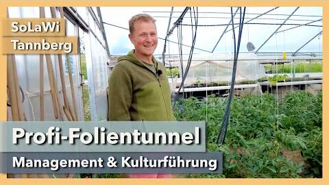 Regenerativer Gemüsebau im Profi-Folientunnel | SoLaWi Tannberg | Rundgang 2 | 2021