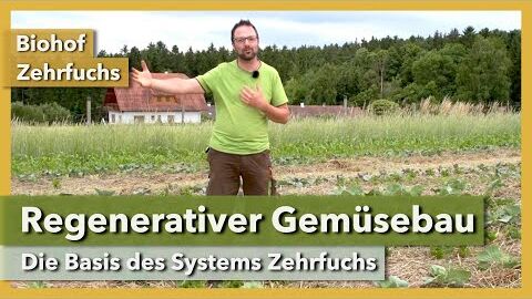 Regenerativer Gemüsebau nach dem System Zehrfuchs | Biohof Zehrfuchs | Rundgang 2 | 2021