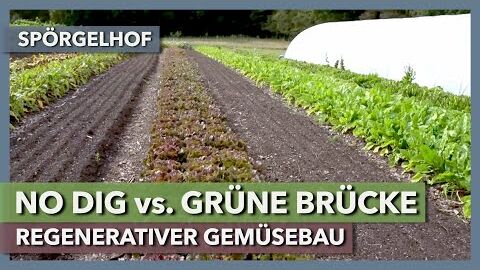 Regenerativer Gemüsebau – No Dig vs. Grüne Brücke | Spörgelhof | Rundgang 1