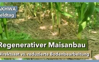 Regenerativer Maisanbau – die besten Methoden | Rüdiger Graß | AKWAH  Feldtag | 2023