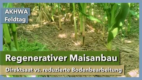 Regenerativer Maisanbau – die besten Methoden | Rüdiger Graß | AKWAH  Feldtag | 2023