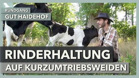 Rinderhaltung im ganzheitlichen Weidemanagement | Gut Haidehof | Rundgang 6