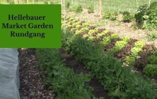 Rundgang No-Dig Market Garden bei Jasper dem Hellebaueren | regenerativer Gemüsebau | Mai 2020