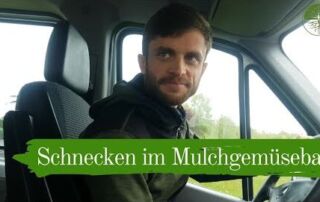 Schnecken im Mulchgemüsebau | Bodenfruchtbarkeit und Nützlinge | Biogemüsehof Dickendorf (2019)