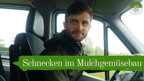 Schnecken im Mulchgemüsebau | Bodenfruchtbarkeit und Nützlinge | Biogemüsehof Dickendorf (2019)