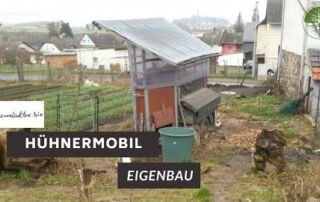 Selbstgebautes Hühnermobil | Am Permakultur Hof Sehl (2020)