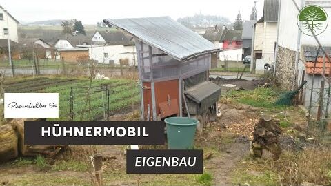 Selbstgebautes Hühnermobil | Am Permakultur Hof Sehl (2020)