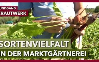 Sortenvielfalt in der Marktgärtnerei | Krautwerk | Rundgang 2