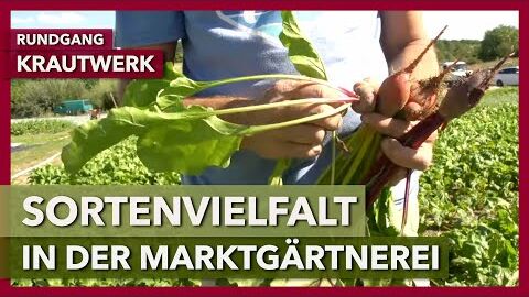 Sortenvielfalt in der Marktgärtnerei | Krautwerk | Rundgang 2