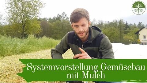 Systemvorstellung Gemüsebau mit Mulch | Mulchgemüsebau | Biogemüsehof Dickendorf (2019)