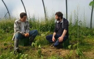 Tips für Market Garden Gemüsebau Beginner | Jonas Machnik | ReLaVisio im Gespräch (2019)