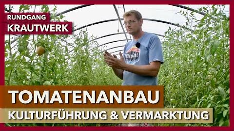 Tomatenanbau im Gewächshaus – Kulturführung, Tunnelausstattung, Vermarktung | Krautwerk | Rundgang 5