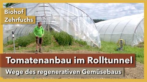 Tomatenanbau im Rolltunnel & andere regenerative Systeme | Biohof Zehrfuchs | Rundgang 3 | 2021