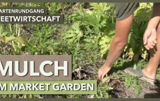 Transfermulch im Market Garden, Empfehlungen, Vor- und Nachteile | Beetwirtschaft | Gartenrundgang 4