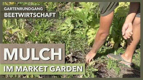 Transfermulch im Market Garden, Empfehlungen, Vor- und Nachteile | Beetwirtschaft | Gartenrundgang 4