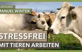 Über den stressfreien Umgang mit Rindern | Manuel Winter | Rundgang 5