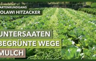 Untersaaten, begrünte Wege & Mulch in der Marktgärtnerei | SoLaWi Hitzacker | Gartenrundgang 1