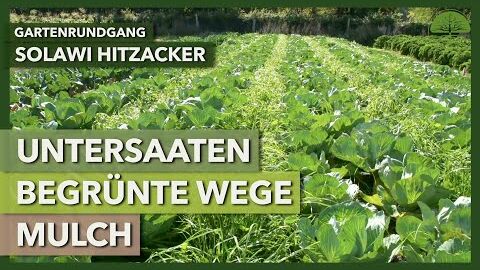 Untersaaten, begrünte Wege & Mulch in der Marktgärtnerei | SoLaWi Hitzacker | Gartenrundgang 1