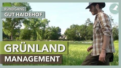 Vielfalt im Grünlandmanagement | Gut Haidehof | Rundgang 5