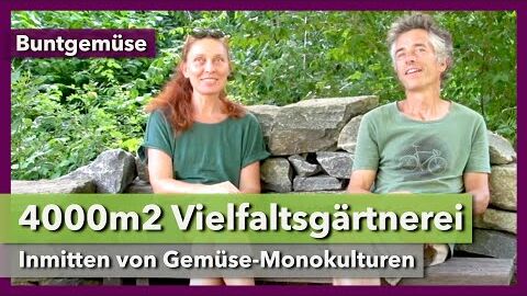 Vielfaltsgärtnerei inmitten von Gemüse-Monokulturen | Buntgemüse | Interview 1 | 2021