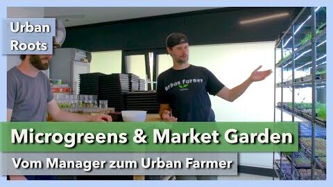 Vom Manager zum Urban Farmer – Microgreens & Market Garden | Urban Roots | Interview 1 | 2022