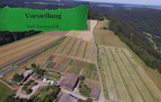 Vorstellung Hof Sonnwald | Regenerative Landwirtschaft | Market Gardening | Agroforst