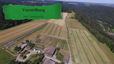 Vorstellung Hof Sonnwald | Regenerative Landwirtschaft | Market Gardening | Agroforst