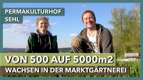 Wachsen im Market Garden – von 500m2 auf 5000m2 | Permakulturhof Sehl | Interview